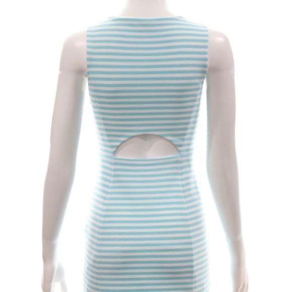 Lilly Pulitzer Blue and White Striped Mini Dress - Picture 4 of 6